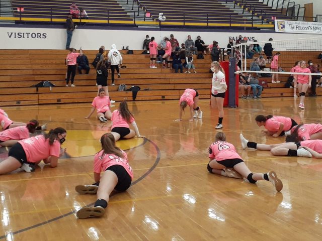 Volleyball Players Sport Pink for Breast Cancer Awareness