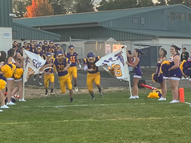 Falcon Football Season Comes to an End