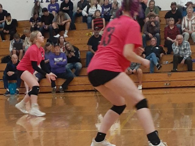 EHS Volleyball Team Sports Pink for Breast Cancer Awareness