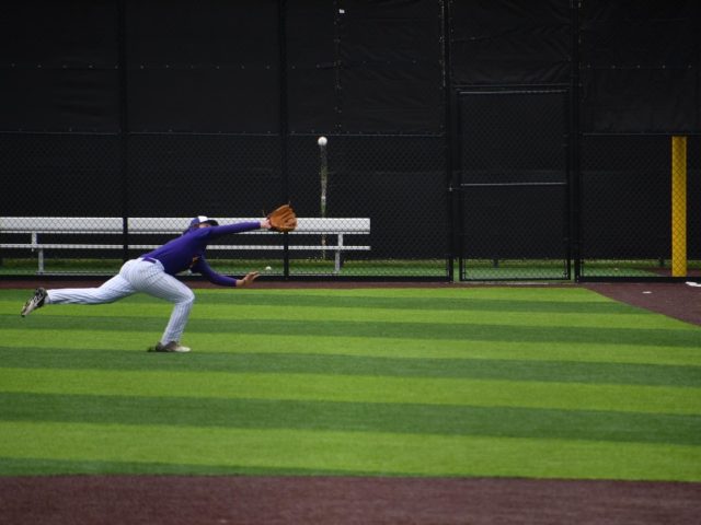 Elmira Baseball Season Comes to a Close