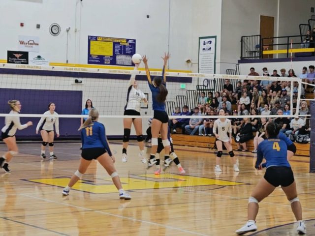 EHS Volleyball Suffers a Loss to Siuslaw