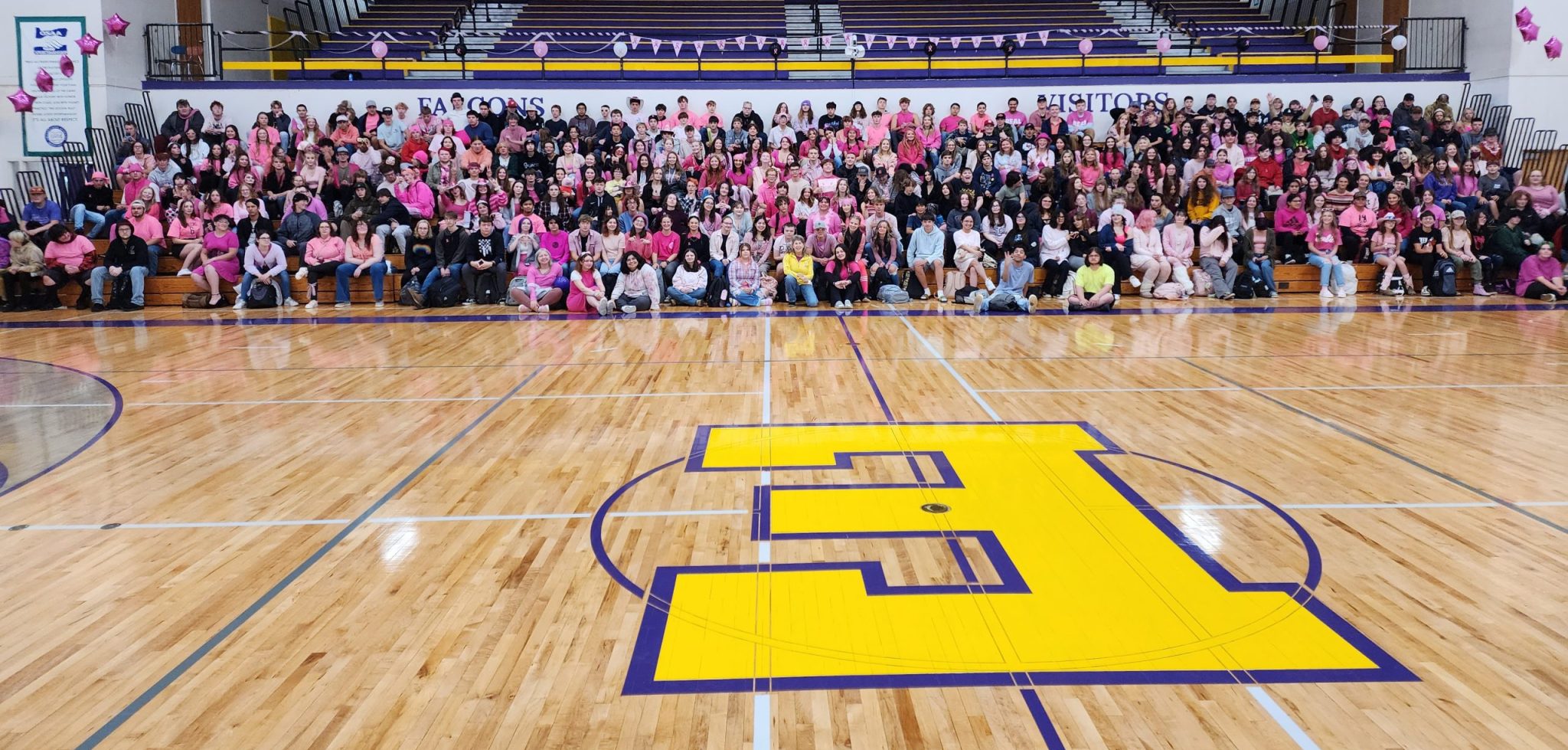 Photo Gallery: EHS Shows Support for Science Teacher with ‘Pink for ...