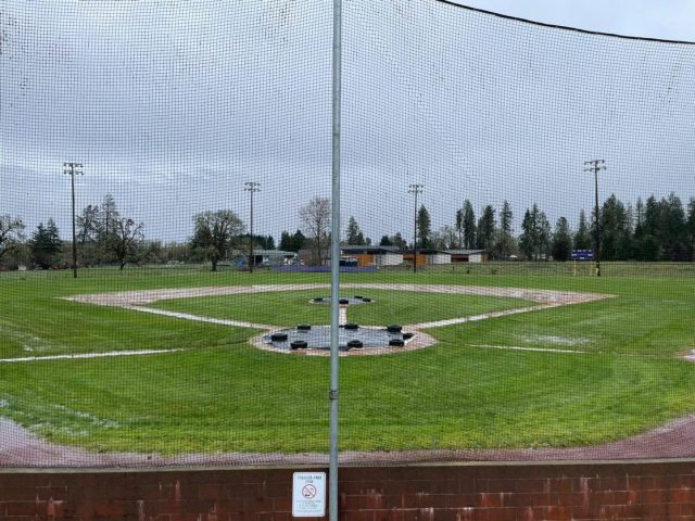 Falcons Prepared to Bring Home Baseball State Title